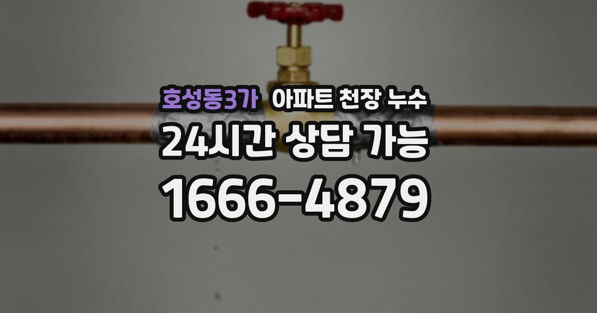 호성동3가 아파트 천장 누수