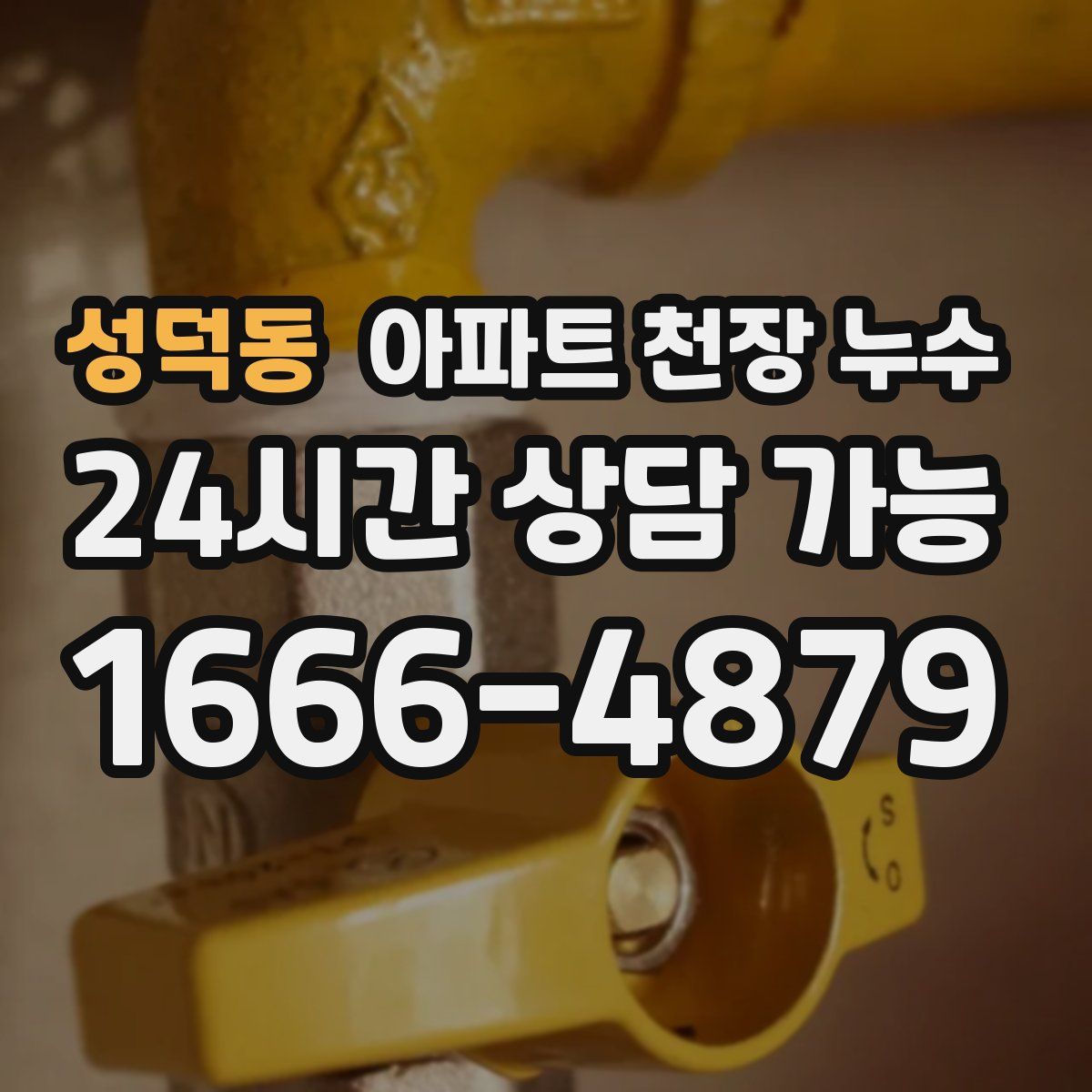 성덕동 아파트 천장 누수