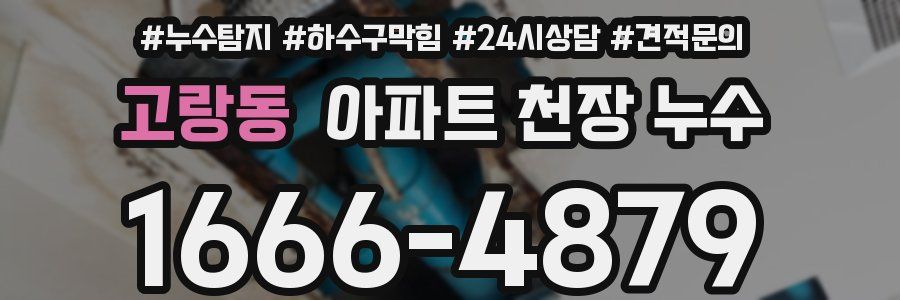 고랑동 아파트 천장 누수