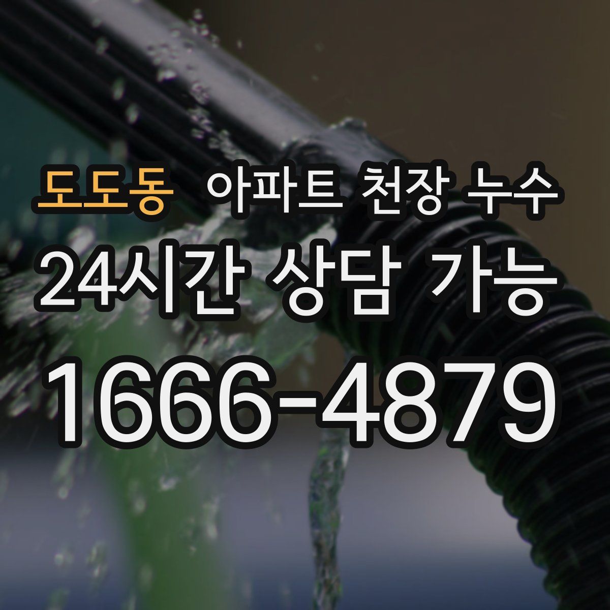 도도동 아파트 천장 누수