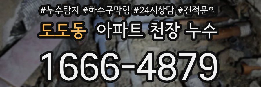 도도동 아파트 천장 누수