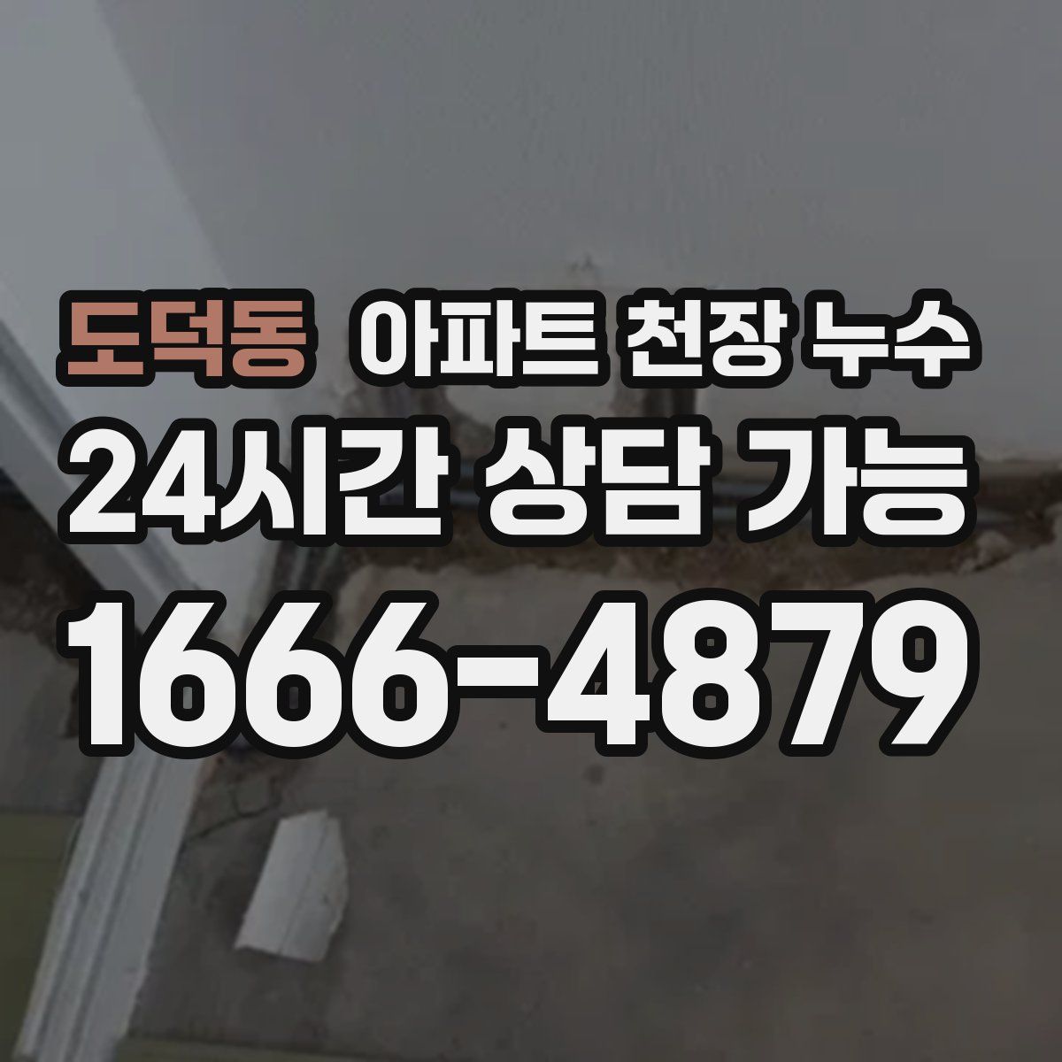 도덕동 아파트 천장 누수