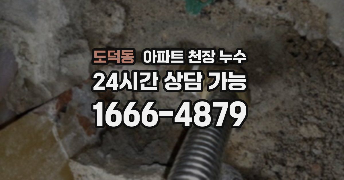 도덕동 아파트 천장 누수