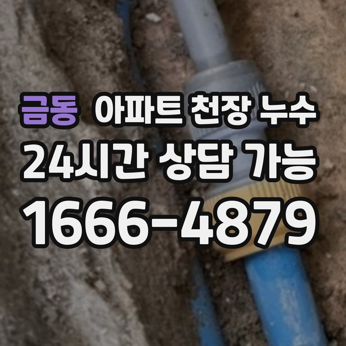 금동 아파트 천장 누수