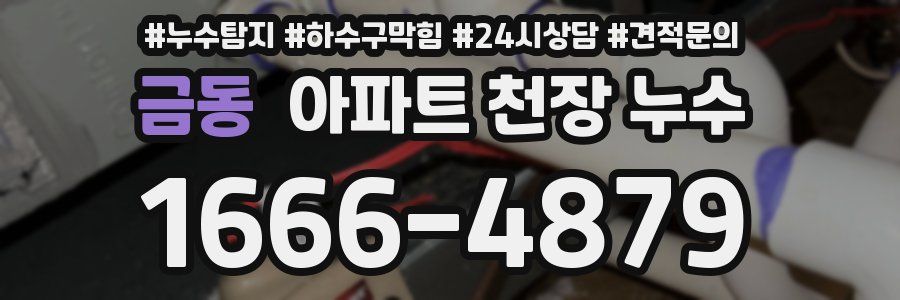 금동 아파트 천장 누수