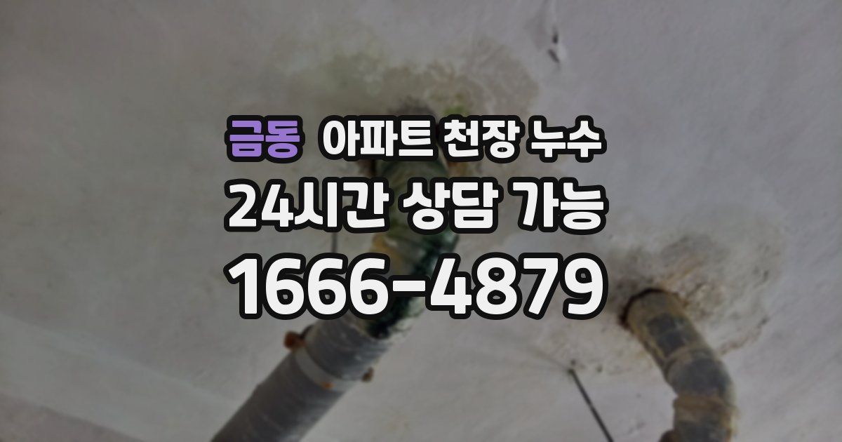 금동 아파트 천장 누수