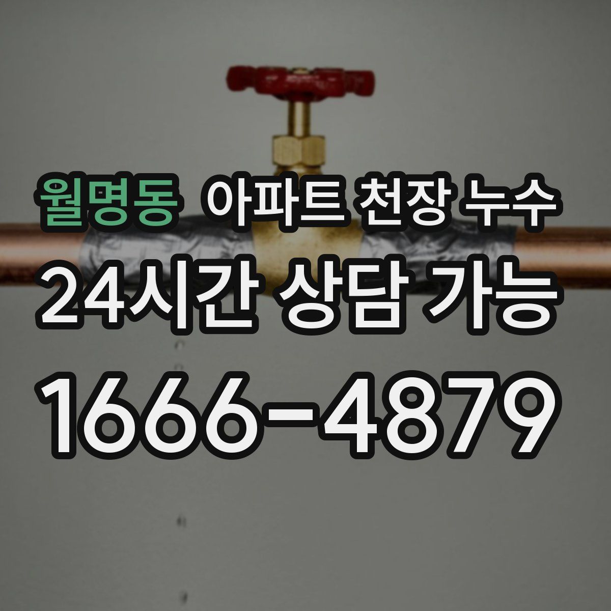 월명동 아파트 천장 누수