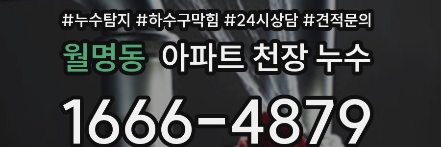 월명동 아파트 천장 누수