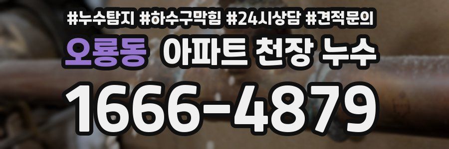오룡동 아파트 천장 누수
