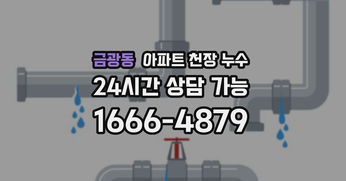 금광동 아파트 천장 누수