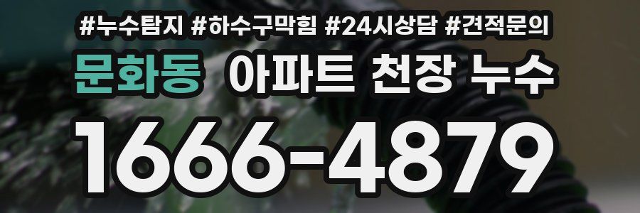 문화동 아파트 천장 누수