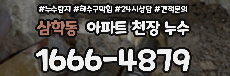삼학동 아파트 천장 누수