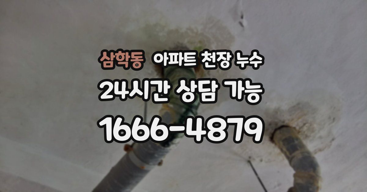 삼학동 아파트 천장 누수