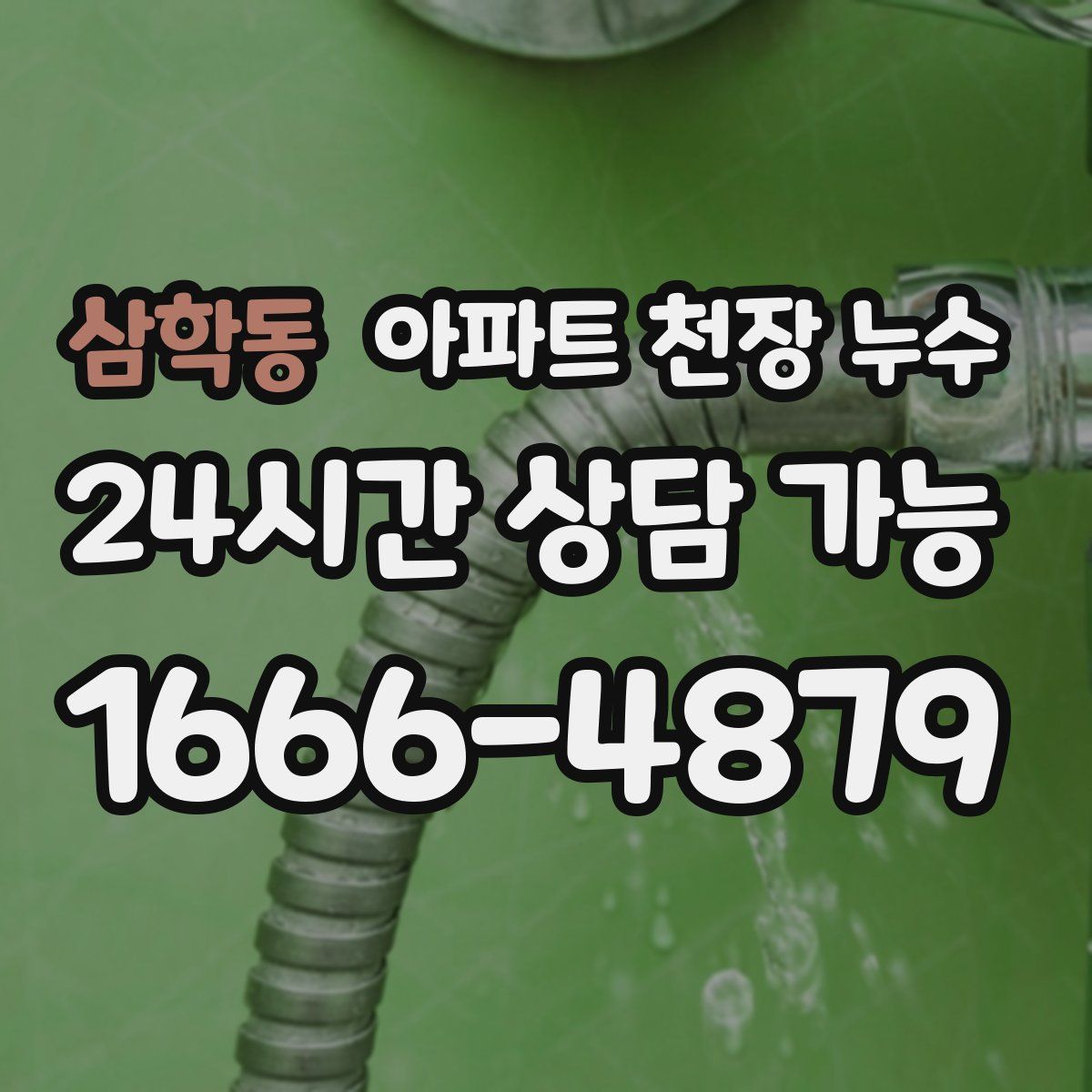 삼학동 아파트 천장 누수