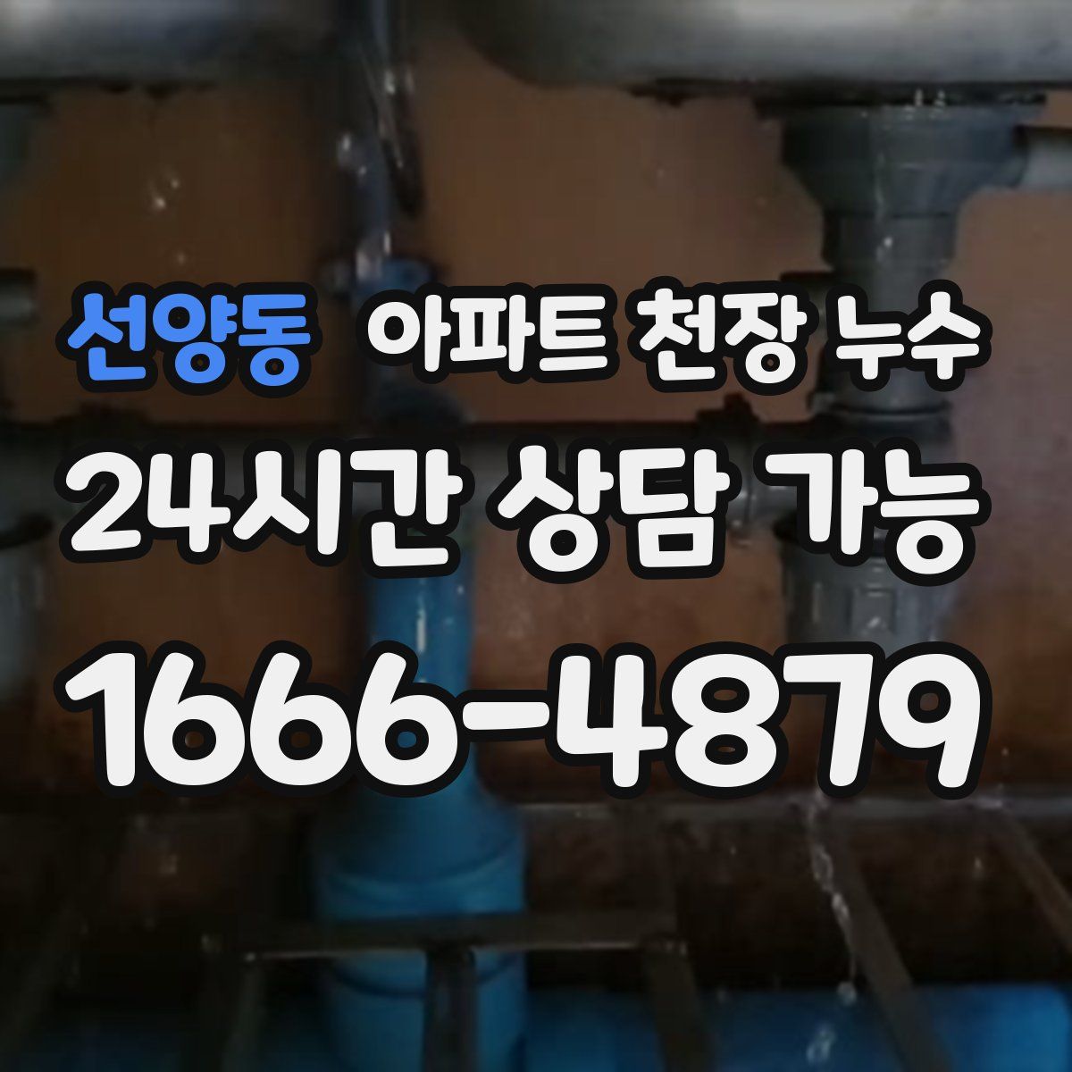 선양동 아파트 천장 누수