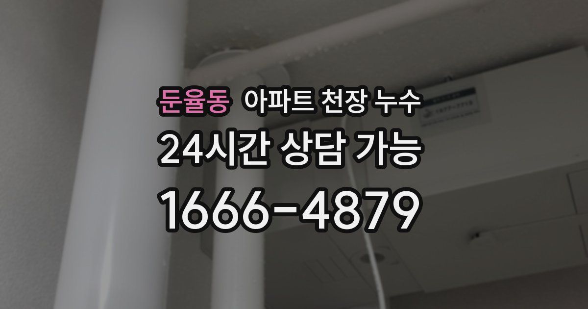 둔율동 아파트 천장 누수
