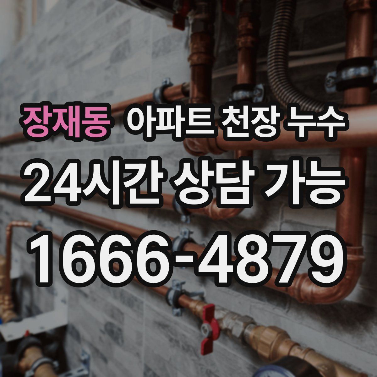 장재동 아파트 천장 누수