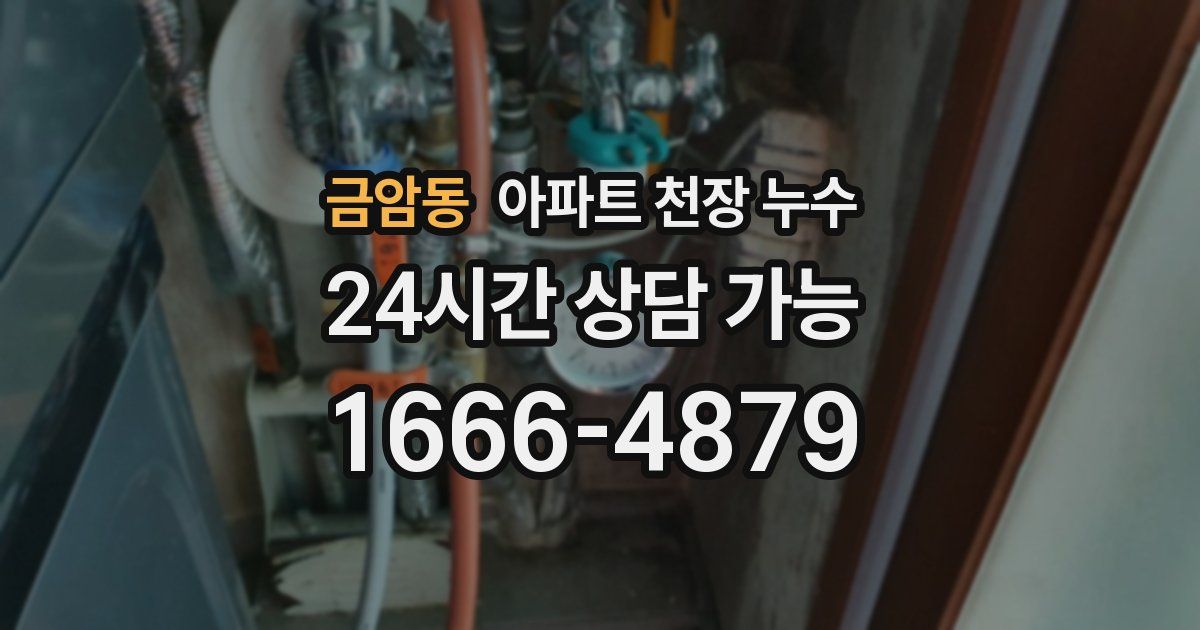 금암동 아파트 천장 누수