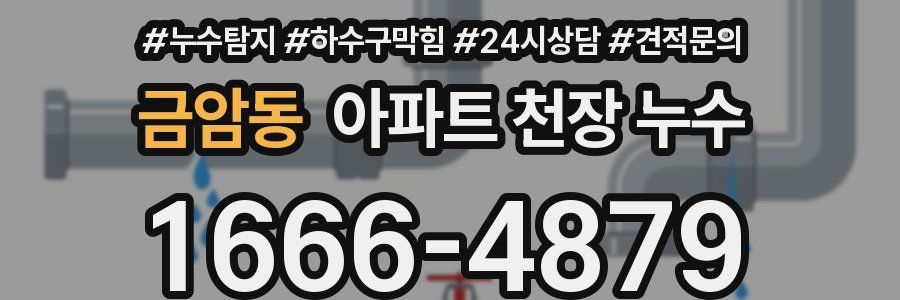 금암동 아파트 천장 누수