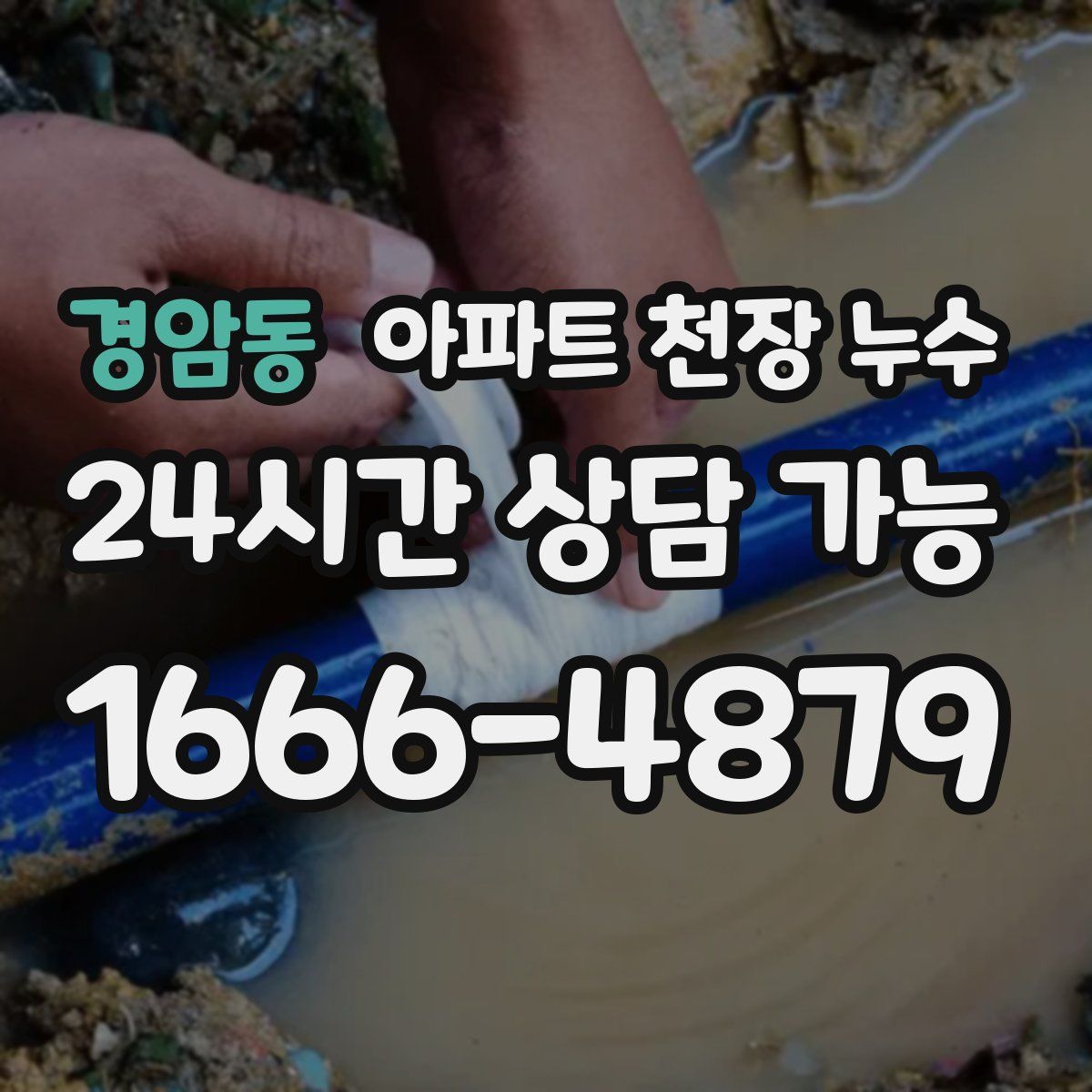 경암동 아파트 천장 누수