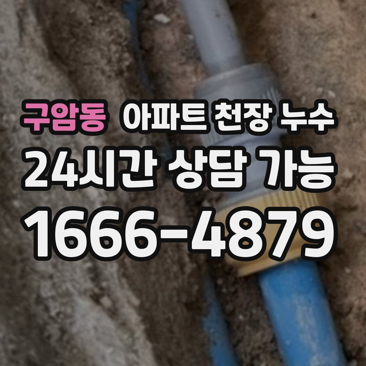 구암동 아파트 천장 누수