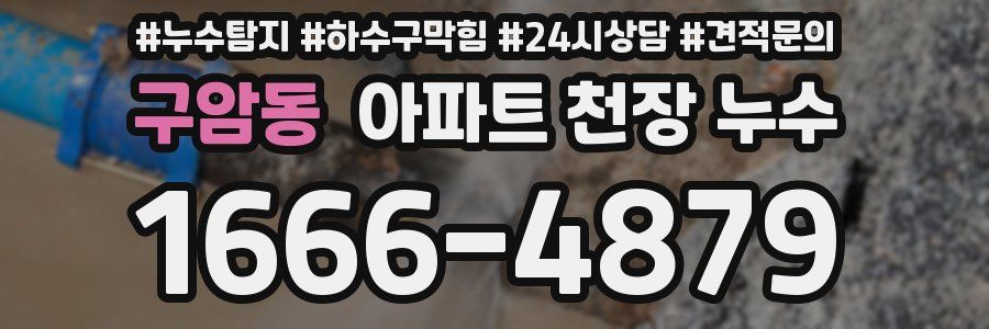 구암동 아파트 천장 누수