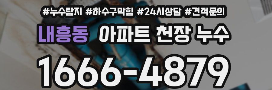 내흥동 아파트 천장 누수