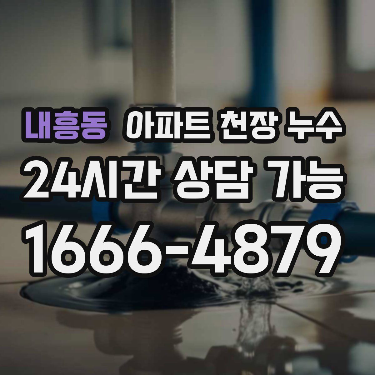 내흥동 아파트 천장 누수