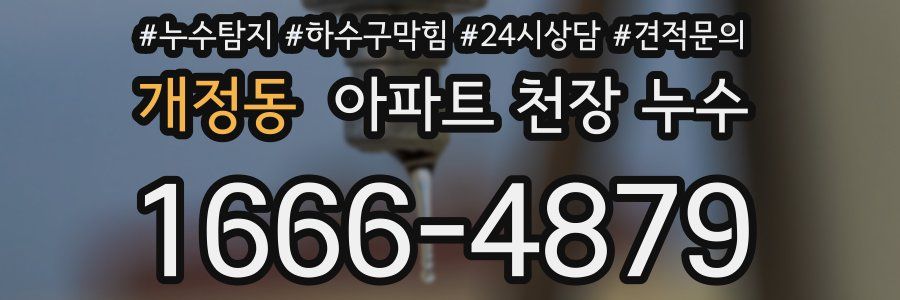 개정동 아파트 천장 누수