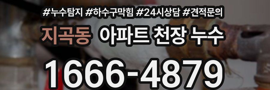 지곡동 아파트 천장 누수