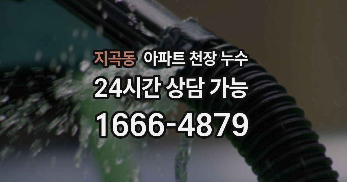 지곡동 아파트 천장 누수