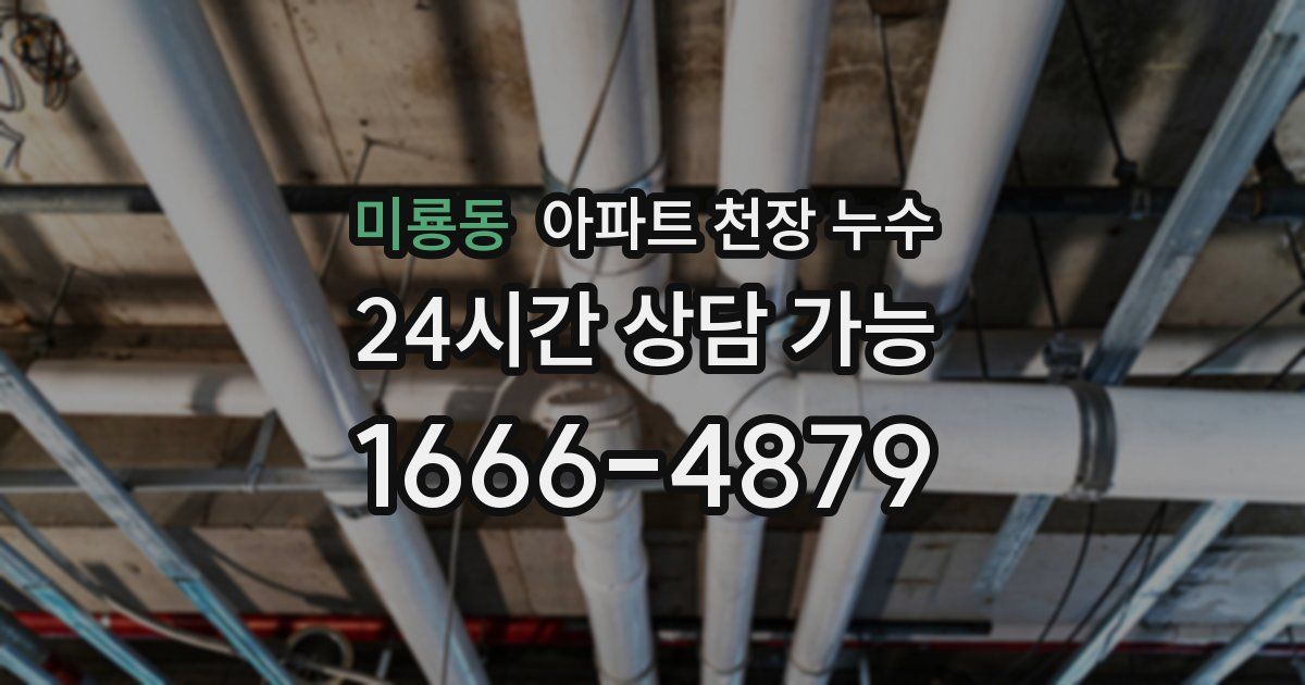 미룡동 아파트 천장 누수