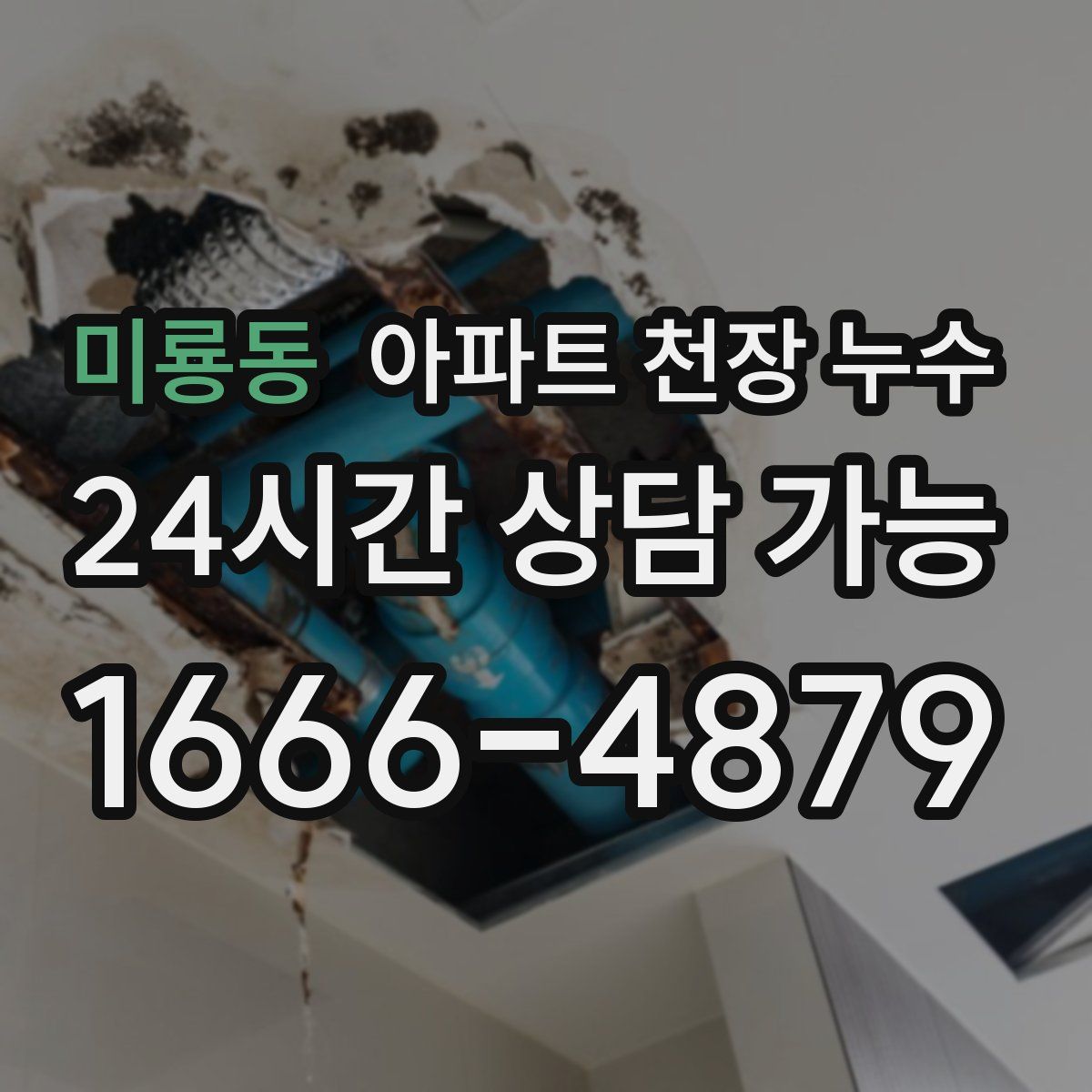 미룡동 아파트 천장 누수