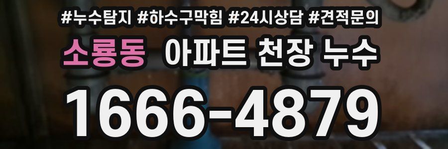 소룡동 아파트 천장 누수