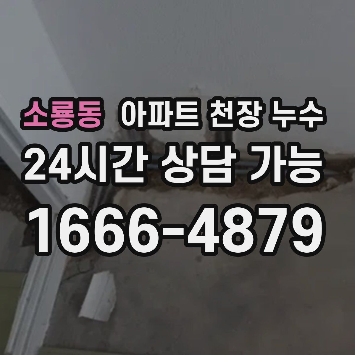 소룡동 아파트 천장 누수