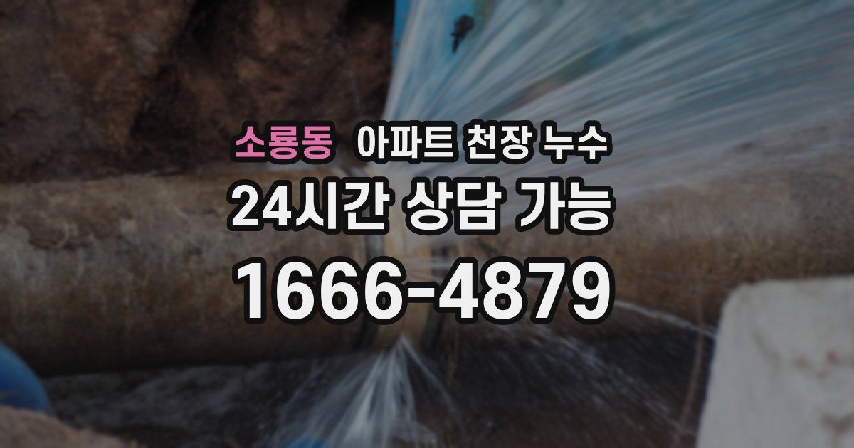 소룡동 아파트 천장 누수