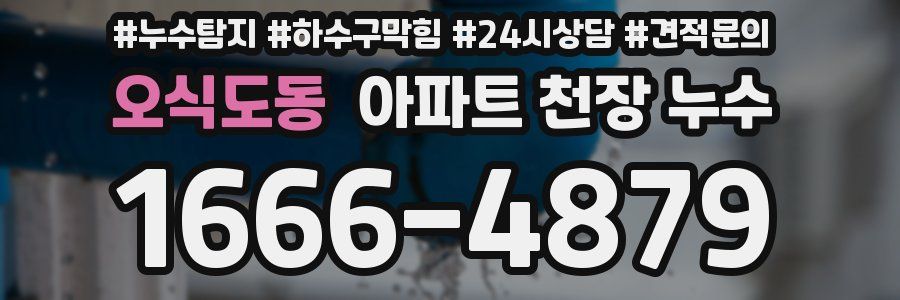 오식도동 아파트 천장 누수