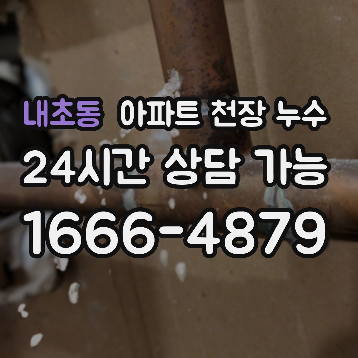 내초동 아파트 천장 누수