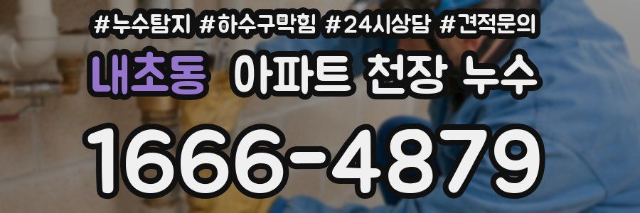 내초동 아파트 천장 누수