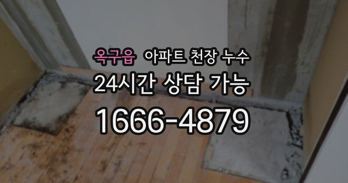 옥구읍 아파트 천장 누수