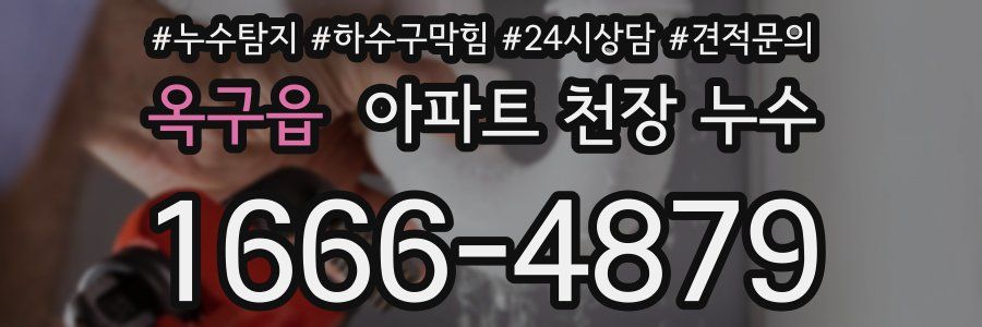 옥구읍 아파트 천장 누수