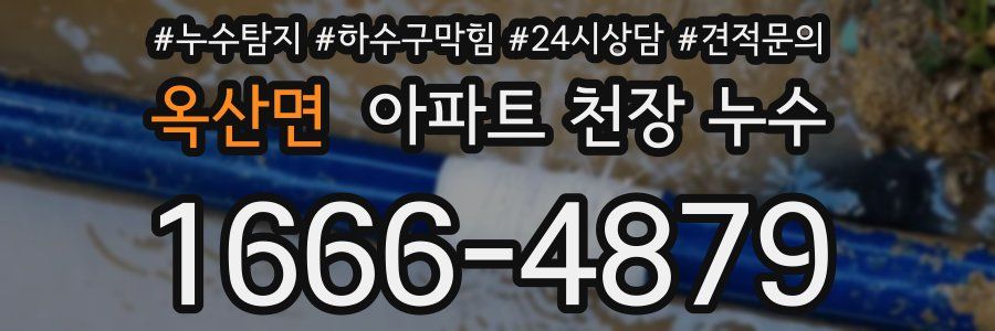 옥산면 아파트 천장 누수