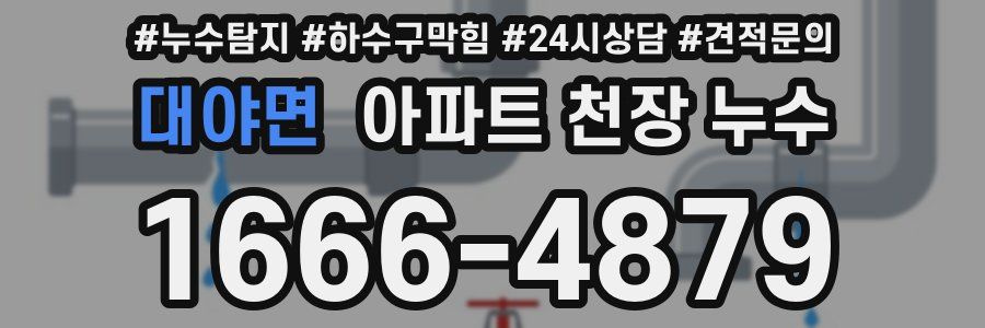대야면 아파트 천장 누수