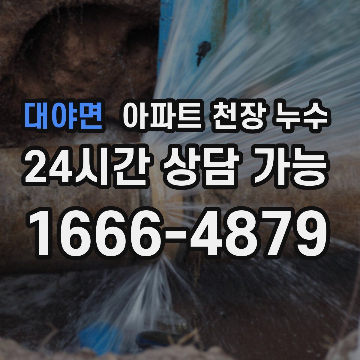 대야면 아파트 천장 누수
