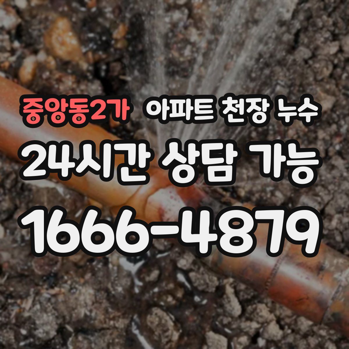 중앙동2가 아파트 천장 누수
