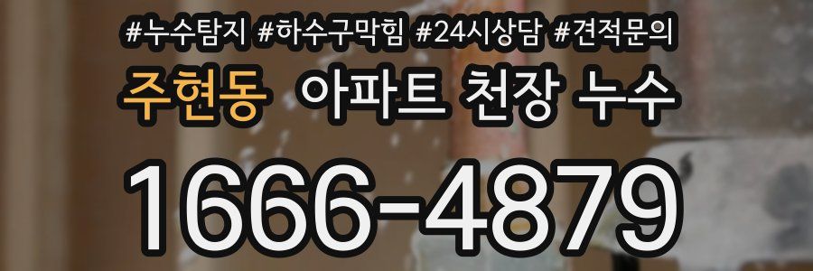 주현동 아파트 천장 누수