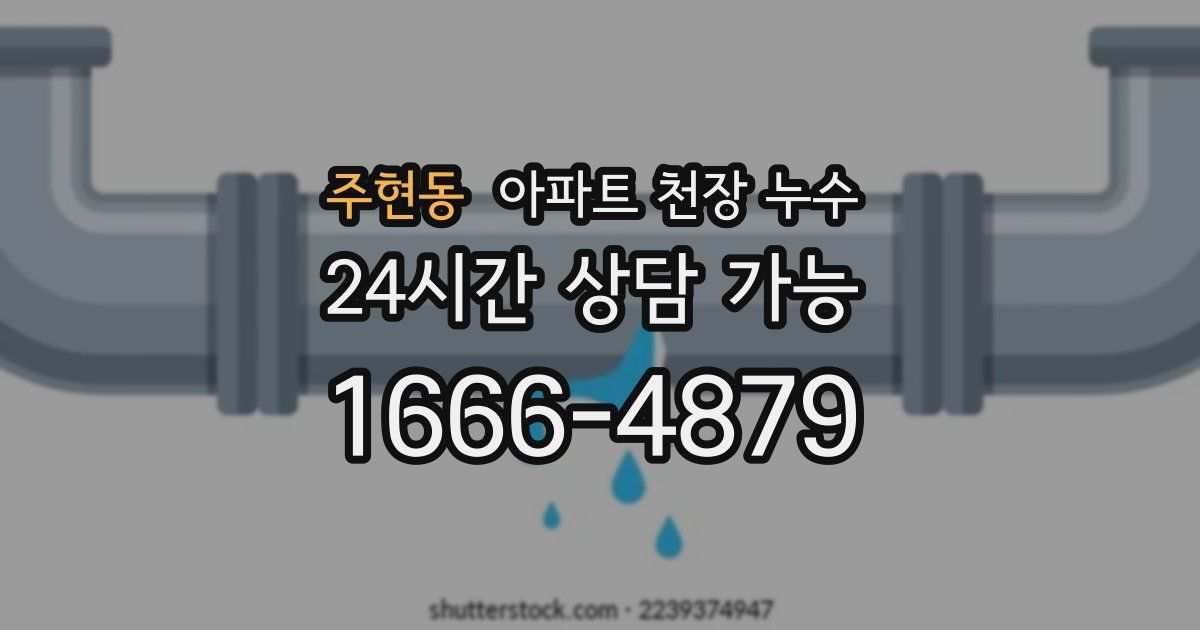 주현동 아파트 천장 누수