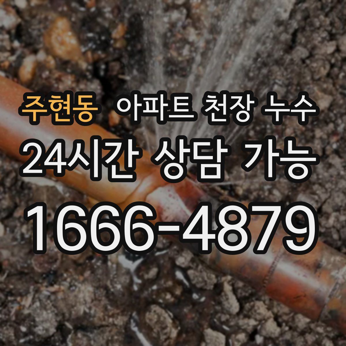 주현동 아파트 천장 누수