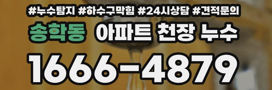 송학동 아파트 천장 누수