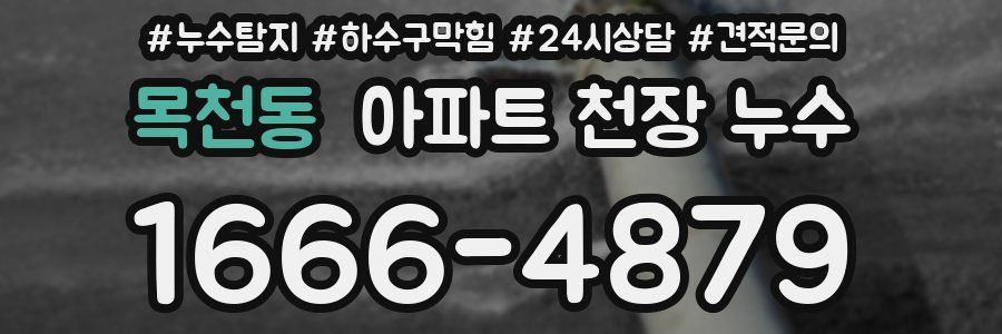 목천동 아파트 천장 누수